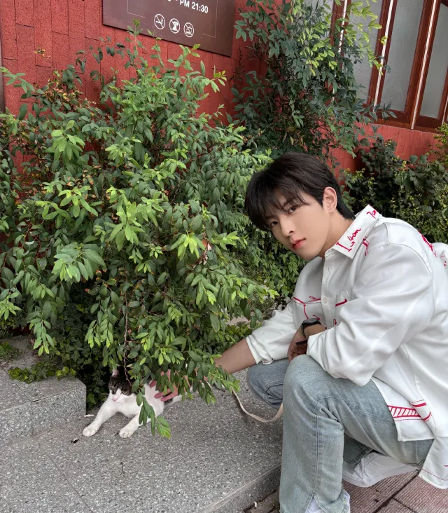 Qiu Dingjie: Tides of Obsession