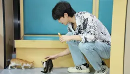 Qiu Dingjie | Claimed