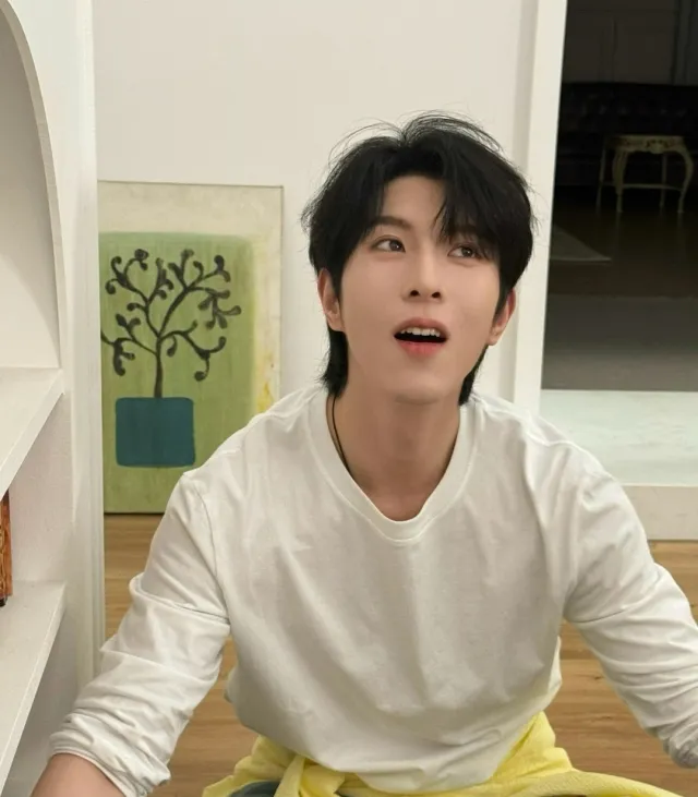 Dingjie: Prince of Celteria