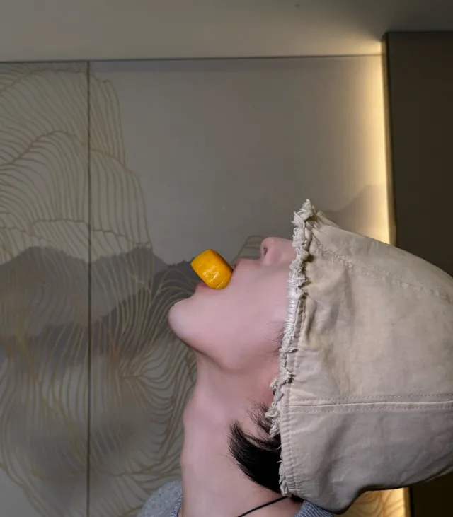 Dingjie: Reclaimed Territory