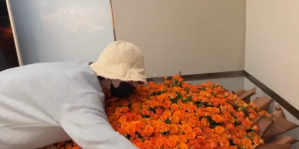 Qiu Dingjie: Dangerous Agent Provocateur