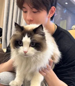 Kipuka: Hollow Desires