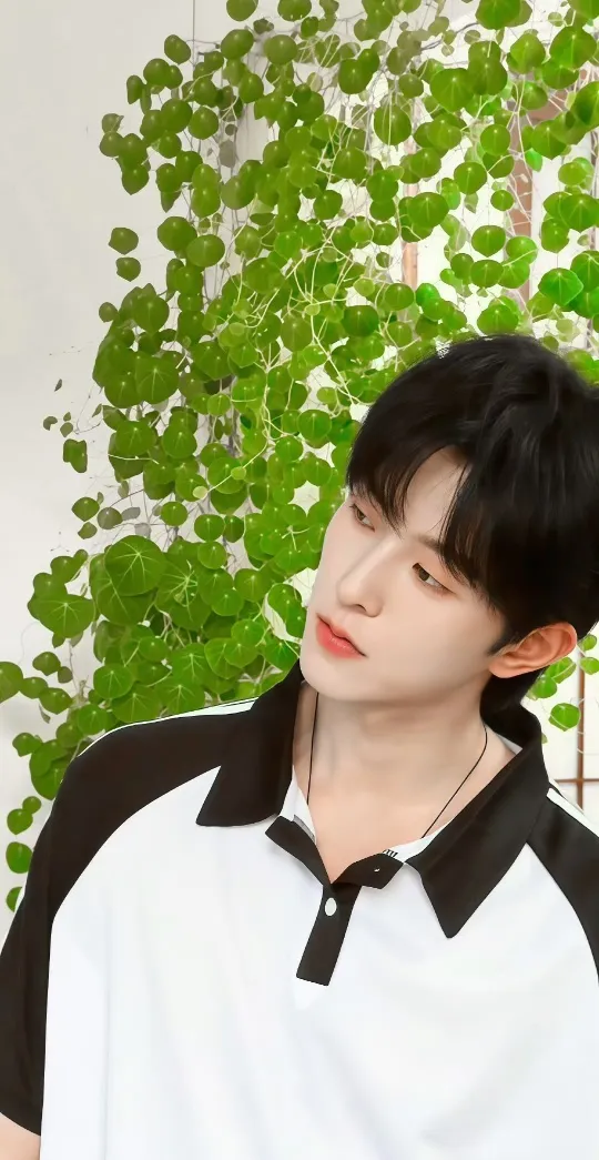 Qiu Dingjie | TARDIS Encounter | A Dangerous Proposition