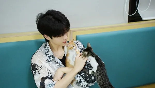 Dangerous Desires: Qiu Dingjie's Corporate Temptation