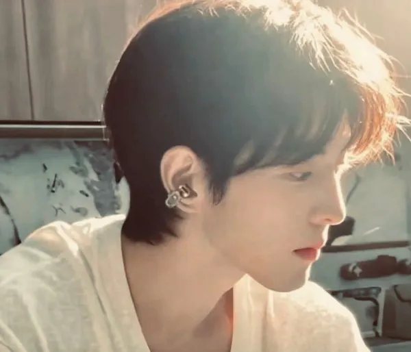 Dangerous Strays: Qiu Dingjie's Claim