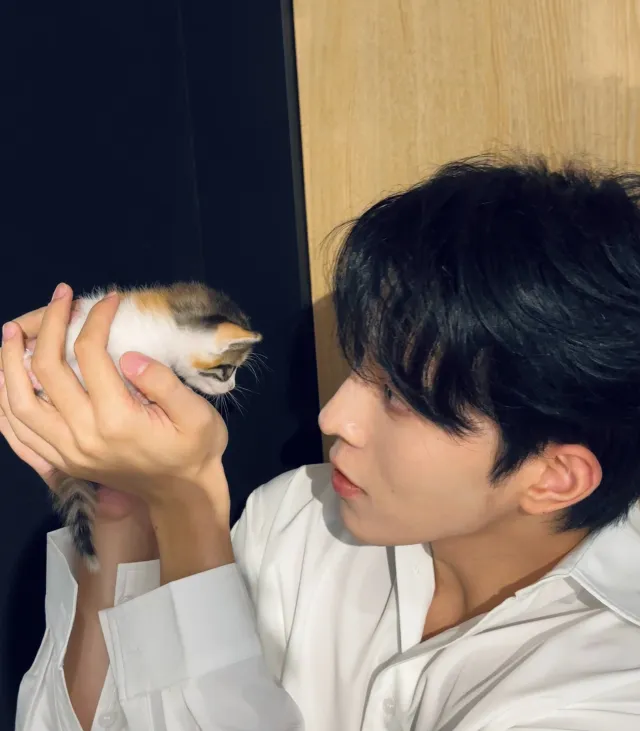 Dangerous Games with Dingjie