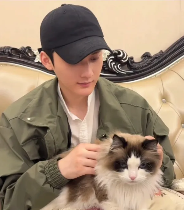 Ocean's Prey // The Aggressor in the Corner