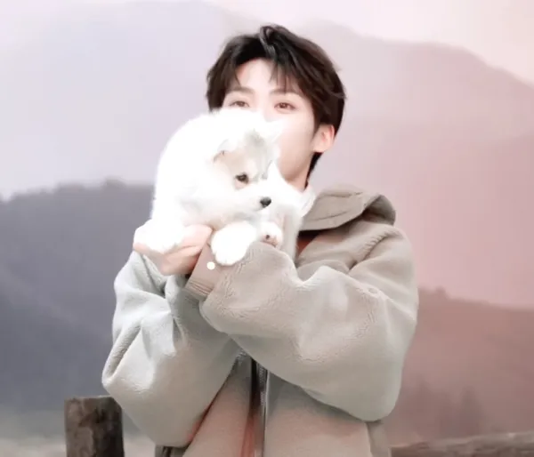 Wusuowei's Studio: No Safe Word