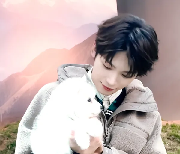 Zi Yu / One Piece: Totto Land Desire