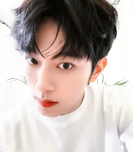 The Tidal Claim of Li Peien