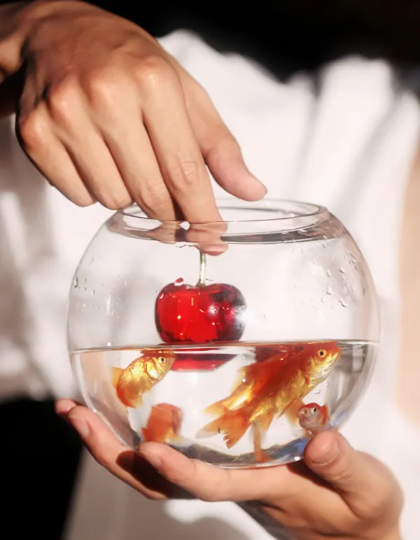 Li Peien: The Forbidden Obsession