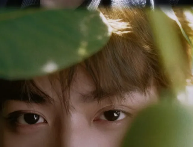 Ziyu: The Forgotten Desire