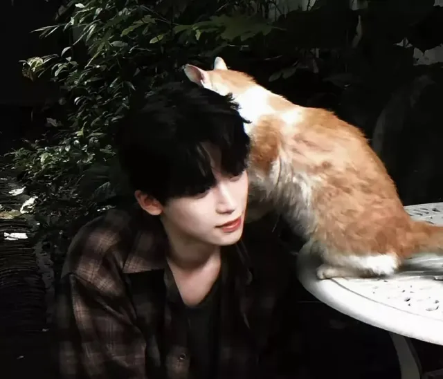 Wusuowei: Claimed Throne