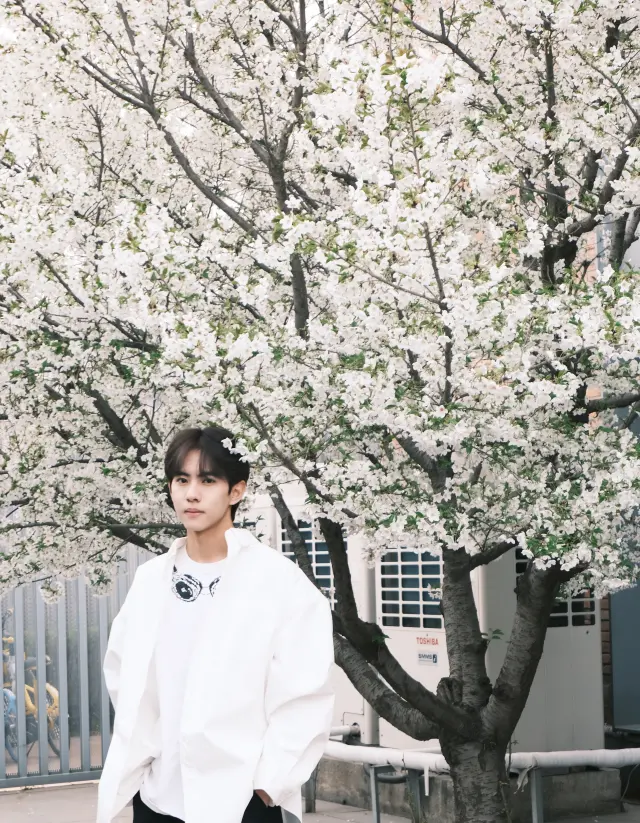 Liu Xuan Cheng: Parabatai's Obsession