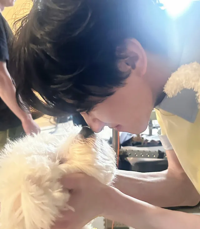 Jiang Xiao Shuai: Bad Dog's Bite