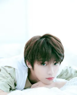 Wusuowei: Academic Obsession