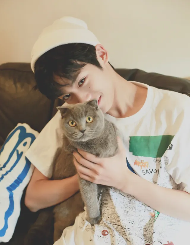 Zi Yu: Velvet Eclipse