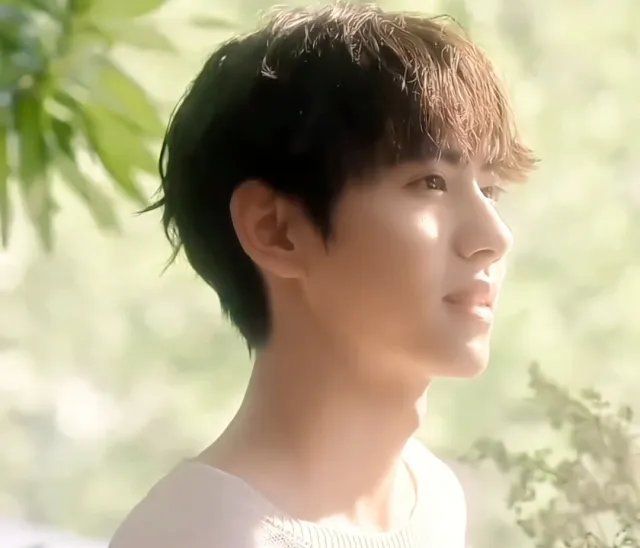 POSSESSIVE — LIU XUAN CHENG.