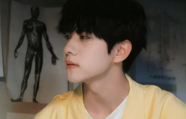 Liu Xuan Cheng: The Dominant Healer