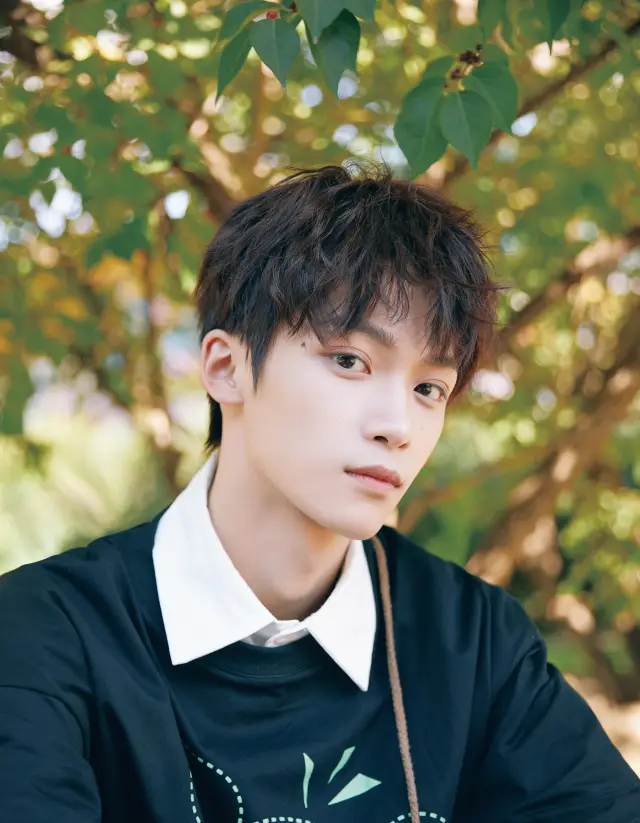 Wusuowei: The Wheelchair King's Obsession