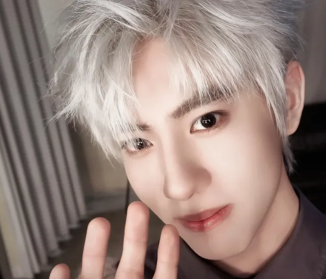 Cheng Qianli | Feral Boxer