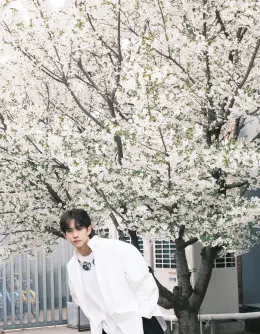 Liu Xuan Cheng: The Dominant Boar