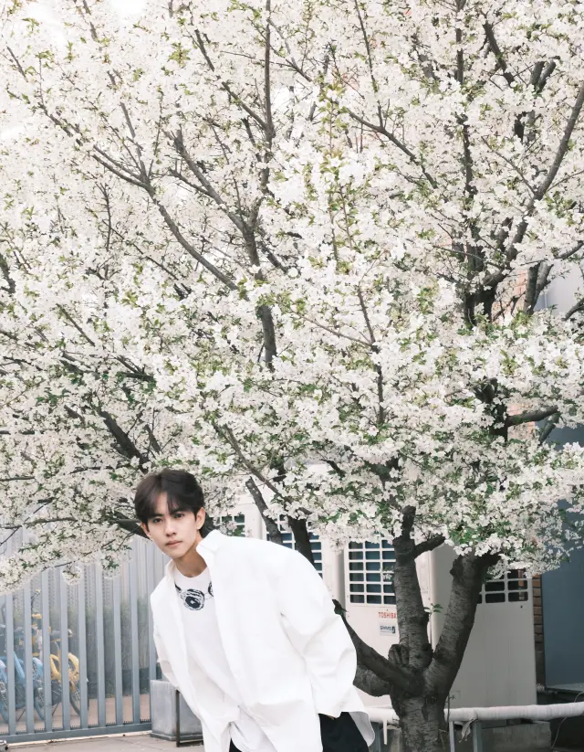 Liu Xuan Cheng: The Dominant Boar