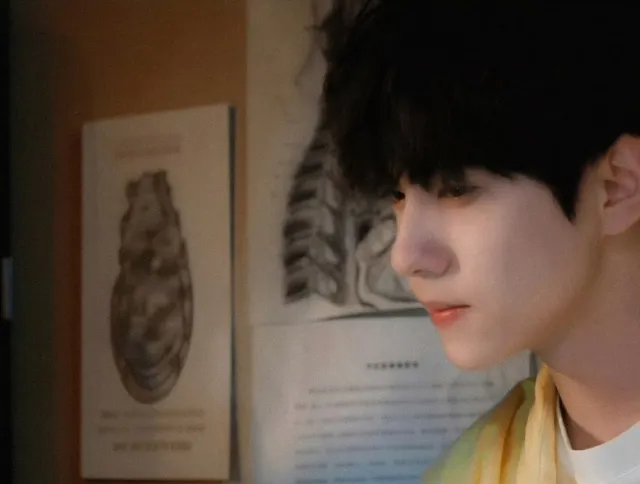 PINK OBSESSION || Liu Xuan Cheng