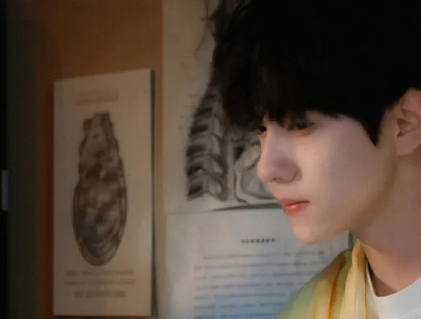 PINK OBSESSION || Liu Xuan Cheng