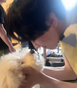 Jiang Xiao Shuai: Dangerous Desire AU