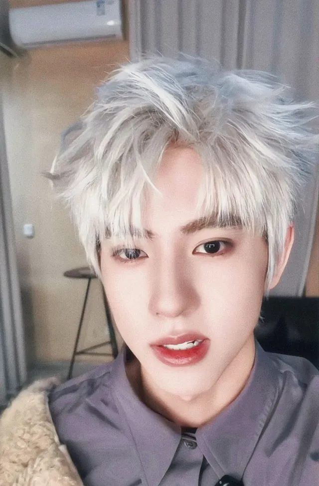 Liu Xuan Cheng: Obsession's Chains