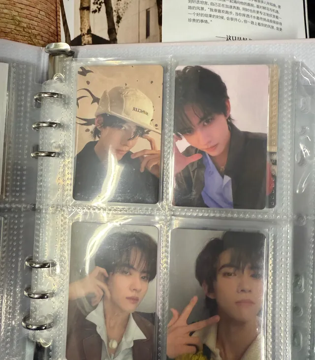 Jiang Xiao Shuai: Mafia King's Obsession