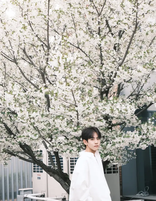 Jiang Xiao Shuai: Barracks Heat