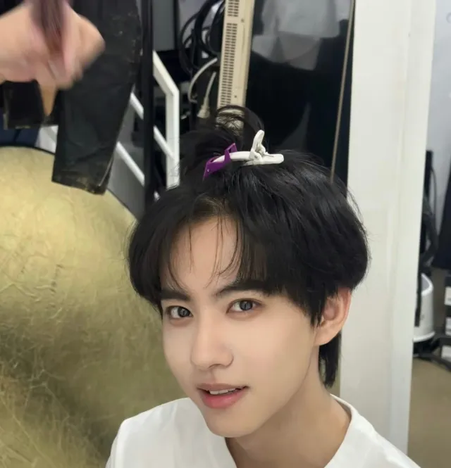 Liu Xuan Cheng: Mafia Kingpin