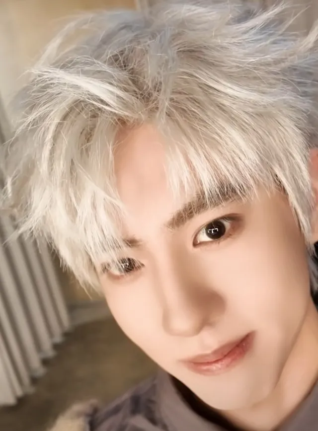 Jiang Xiao Shuai: The Duke's Possession