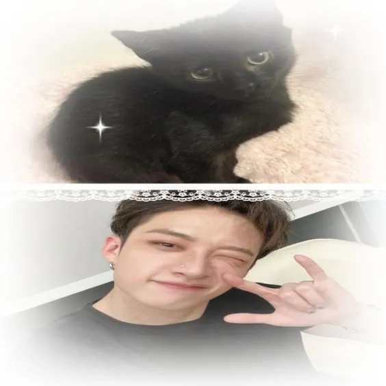 bang chan - your dad <3