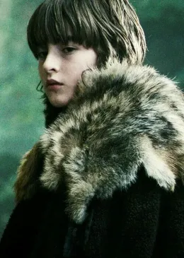 Brandon Stark
