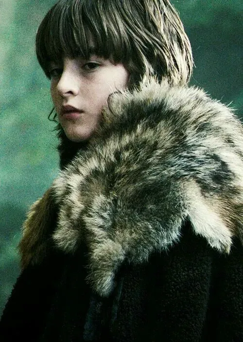 Brandon Stark