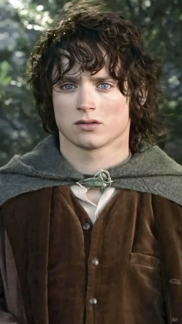 Frodo Baggins