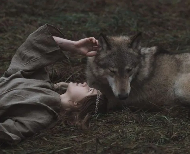 -Girl with the wolf┊.✧