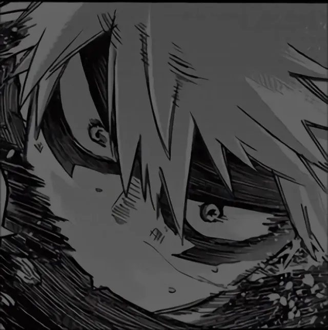 Katsuki Bakugo: (kacchan)