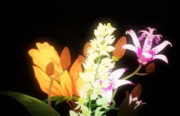 The Apothecary Diaries