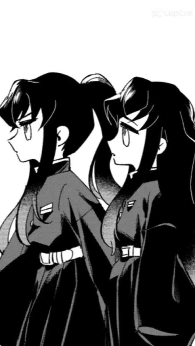 Yuichiro y Muichiro tokito