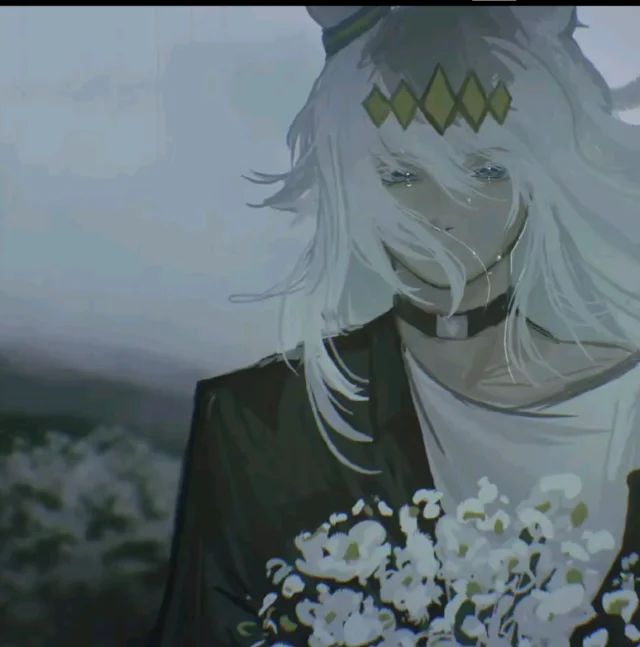 Cinderella Gray au ❤✨